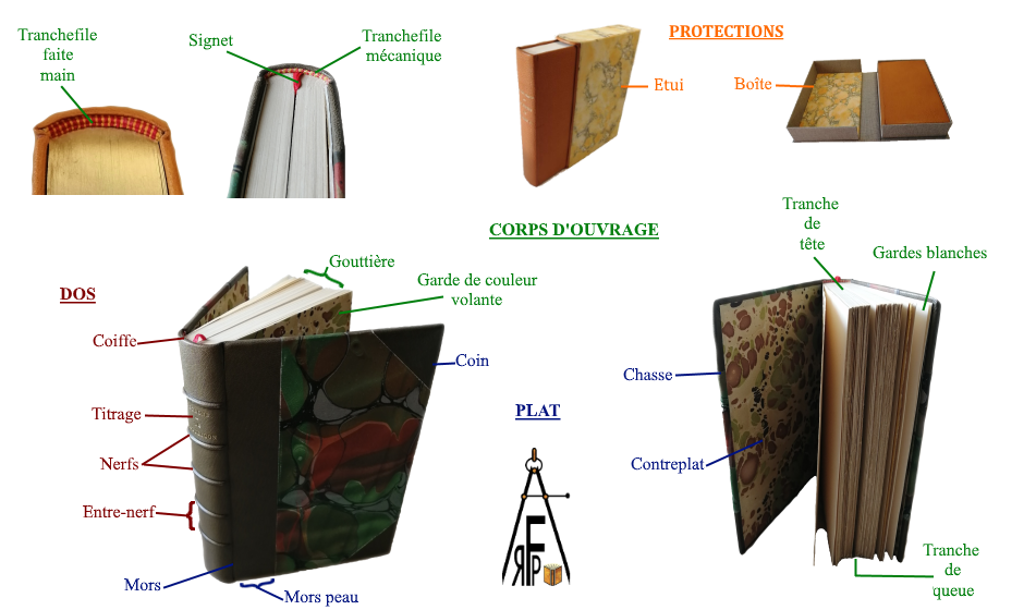 Lexique du relieur illustré - Atelier de Reliure à Fleur de Pages - Schéma d'un livre